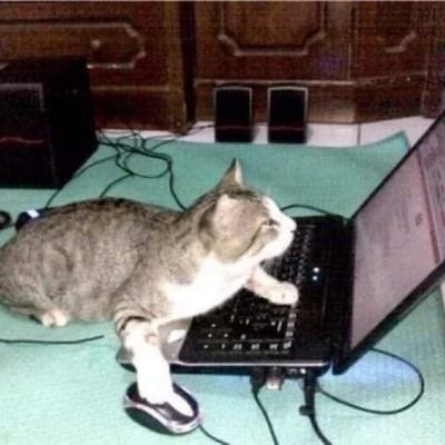 rayos tenía la biografía de mi Twitter mal escrito y apenas me di cuenta ñ