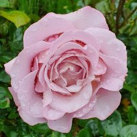 Margareta Spies (@spiess54639) 's Twitter Profile Photo Margareta Spies (@spiess54639) 's Twitter Profile Photo