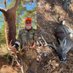 Greg Womack (@cherokee5525) Twitter profile photo Greg Womack (@cherokee5525) Twitter profile photo