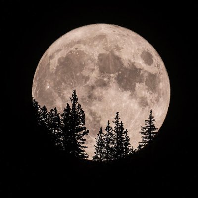 daphnemwrites's profile picture. She/Her. TV Writer. Formerly: Batwoman 🦇, Legends of Tomorrow 🚀
repped @ Gotham Group