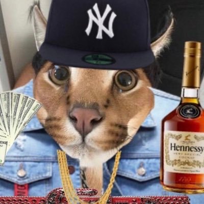 Justdoyouhomie's profile picture. in the parking lot looking for stains