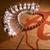LadyCoyoteBasketball (@ladycoyotesball) Twitter profile photo LadyCoyoteBasketball (@ladycoyotesball) Twitter profile photo