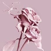 Parwithh's profile picture. I AM  🩸🦄
#ทีม4ทุ่ม 
#ไม่แมน 
#ทัก𝙳𝙼ได้นะครับแชทว่างมาก 📩
 U=U 🏳️‍🌈🌈