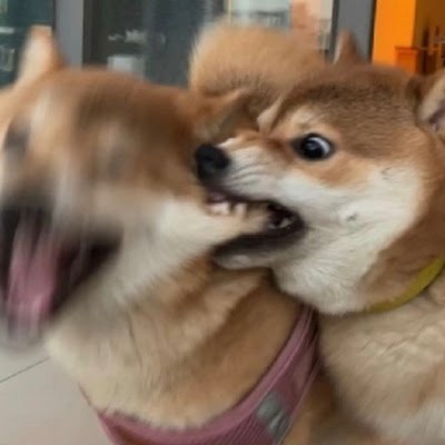 mljs476401's profile picture. 