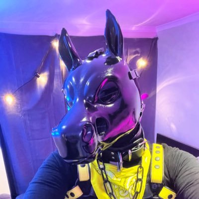 23 / shiny latex rubber drone dog pony / 18+ / DMs open, i don’t bite~