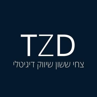 מתעסק בשיווק ופרסום, בעל חברת פרסום דיגיטלית, צחי ששון שיווק דיגיטלי, המתעסק בשיווק ממומן. החברה מאגדת בתוכה את: ״tzd-seo״ סוכנות לקידום אתרים אורגני.