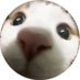 Mika (@mika_do01) Twitter profile photo Mika (@mika_do01) Twitter profile photo