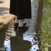 🦎Peter Sqloint🪨 (@peter_sqloint) 's Twitter Profile
