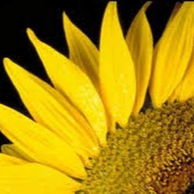 JessicaSau4021's profile picture. 