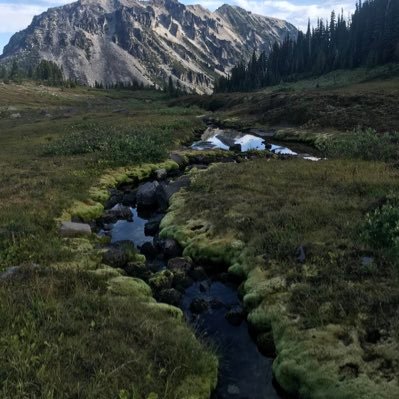 queercusEd's profile picture. 