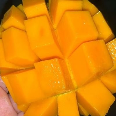 Akun sambat tp suka kpop jg