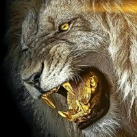 Ahmed khaled (@ahmedkh16999825) 's Twitter Profile