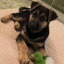 Nick Loper - @NickLoperAZ - Twitter