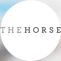 THE HORSE ザホース時計の通販(@the_horse_jp) 's Twitter Profile Photo