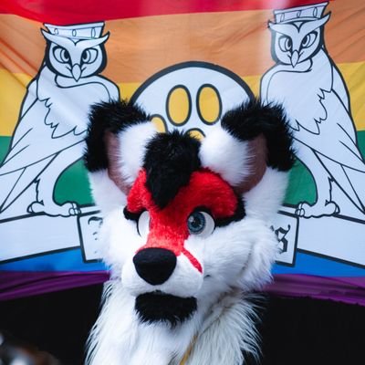 18 | Male | 🇬🇧 🏳️‍🌈 | He/Him | 🐾 Furry 🐾 | 🛩Planes!!🛩 | Theatre Technician | Banner: @Yuruse31 | Owned by: @puptizer