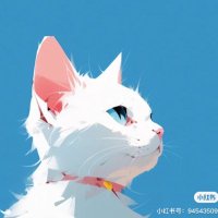 🍊🍋小豆もち (@takizawatom) 's Twitter Profile