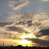 okmt.s (@daaa_bbbd) 's Twitter Profile Photo okmt.s (@daaa_bbbd) 's Twitter Profile Photo