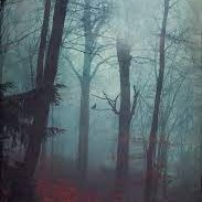 // A silly rp account with way too many muses! Please feel free to tag me in any starters or DM me any ideas. I'm always down for fluff or angst of any sort.