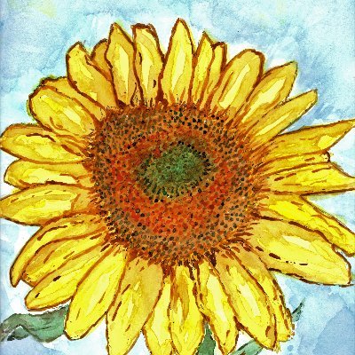 Lissa_Mann's profile picture. 