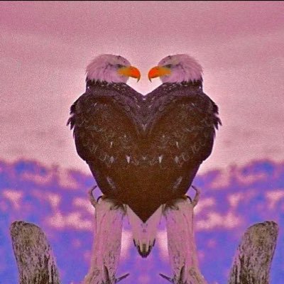 papaiyaXmamaiya's profile picture. Veður á morgun gæti verið sólríkt. Við mælum með því að slökkva á tilkynningum. Það er mjög hávaðasamt 良い垢売ってくれ 値段次第だけど買うよ