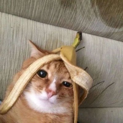 i didn't did you knows thisさんのプロフィール画像