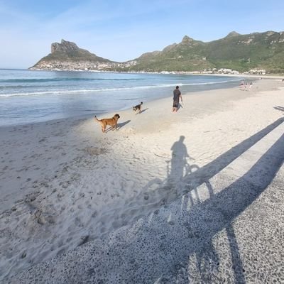 DJoubertC's profile picture. “He was constantly reminded of how startlingly different a place the world was when viewed from a point only three feet to the left.” - D Adams