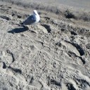 Dufour Pierre - @pierre_dufour - Twitter