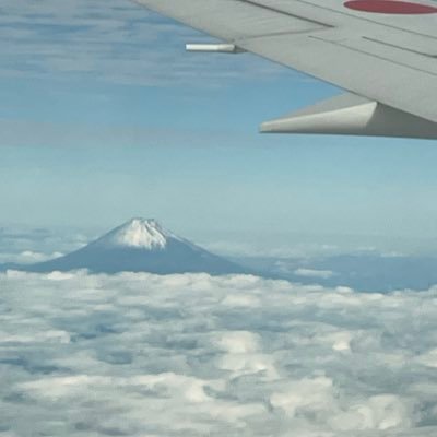 もものたねさんのプロフィール画像