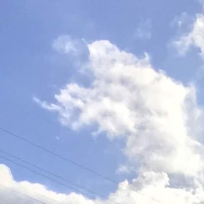 JonaMeme85041's profile picture. 