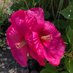 Linda Coutts (@ljlcoutts) Twitter profile photo Linda Coutts (@ljlcoutts) Twitter profile photo