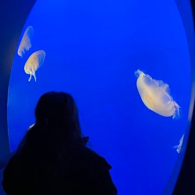 kjwagner098's profile picture. 