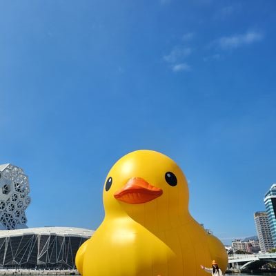 Seung10312894's profile picture. 귀여운게 세상을 지배한다. 반박 시 귀요미🫶                                     
可爱支配世界。反驳就是小可爱🫶