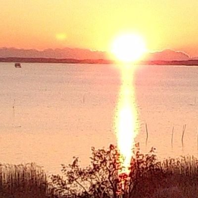 hs5IBXjNDC2FeQk's profile picture. 短歌が好き！山川草木を詠います。