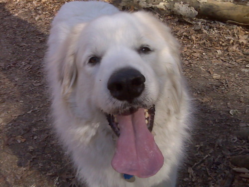 christycornell's profile picture. 