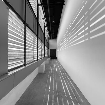 manoo2462's profile picture. 💙