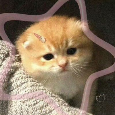 userjaemiin's profile picture. 