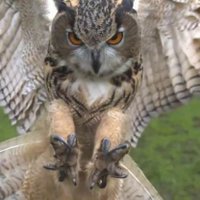 Brent (@2lipnow) 's Twitter Profile