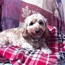 Eileen Lisa - @eileen_lisa - Twitter