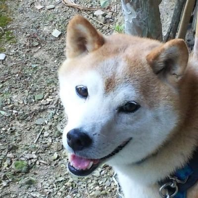 uQ1eXXOt9731361's profile picture. 