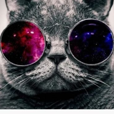 Loktantra111's profile picture. 🇮🇳 , Jharkhand!