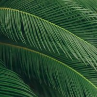 Esranur (@essraanur) 's Twitter Profile