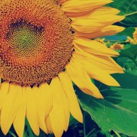 Esranur (@esrnrerdm83) 's Twitter Profile Photo