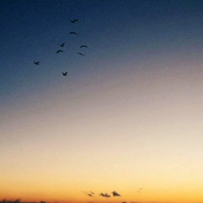 mean (@mean36993932) / Posts / X