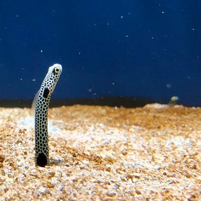 y1k0a4t0's profile picture. 