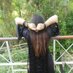 Bisman Hira Talhat (@bismantalhat) Twitter profile photo Bisman Hira Talhat (@bismantalhat) Twitter profile photo