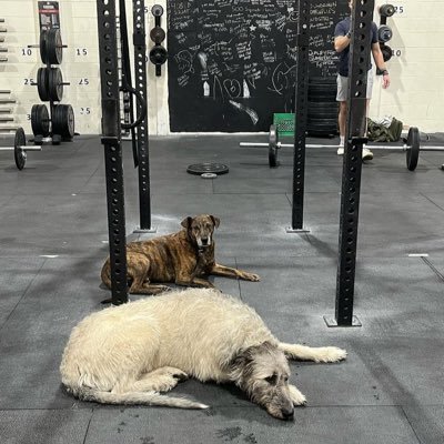 MILLERTIPS32431's profile picture. (Football 🏈 Bet and Prediction) TELEGRAM 👉 https://t.co/ncefUh30Fd