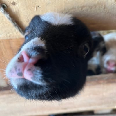 あなたの暮らしが少しでも豊かになるような情報を載せていきます🍀*゜衣食住にまつわること、元気になる名言などなど…ここでの記事を読んで少しでも心が軽くなると嬉しいです🕊#フォロバ100