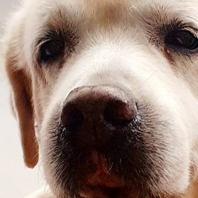 SagaciouslyZen's profile picture. Love Books | Journeys | Food | Dogs
