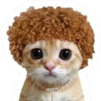 Jezus (@bryptojezus) 's Twitter Profile