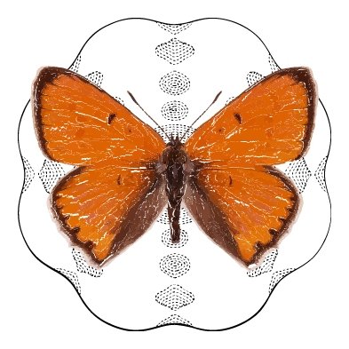 Officiële account van de Nederlandse Entomologische Vereniging (NEV).
Beheer @DrJittebug

Content zal langzaam opgestart worden.